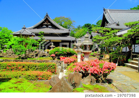 Azalea blooming at Kokoji (Kyoto Uji) Azalea blooming at Kokoji (Kyoto Uji) 19707398