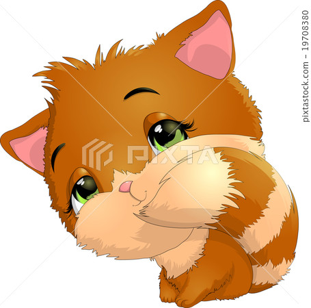 Beautiful kitten on a white background Beautiful kitten on a white background 19708380