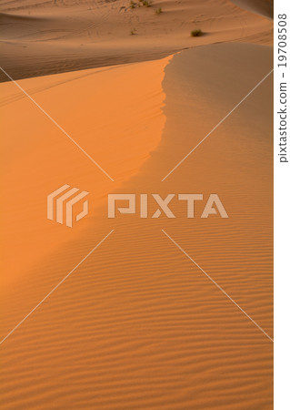 Merzouga沙漠大沙丘 19708508