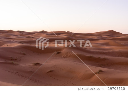 Merzouga沙漠大沙丘 19708510