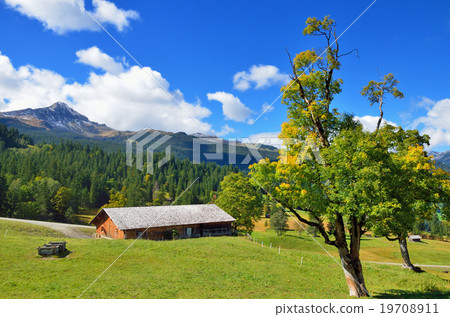 Alps scenery from the Swiss mountaineering railway car window 19708911
