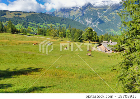 從瑞士登山鐵路車窗的阿爾卑斯風景 從瑞士登山鐵路車窗的阿爾卑斯風景 19708913