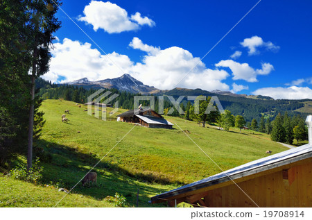 Alps scenery from the Swiss mountaineering railway car window 19708914