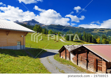 Alps scenery from the Swiss mountaineering railway car window 19708915