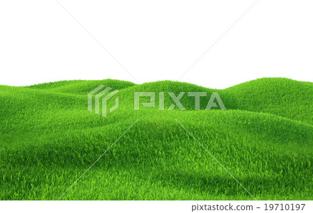 Green grass growing on hills with white background - Stock Illustration ...