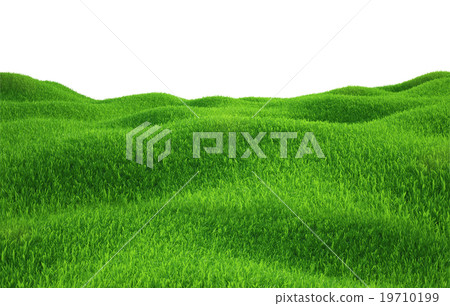 Green grass growing on hills with white background - Stock Illustration ...