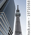 sky tree, skytree, skytree tower 19710368
