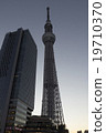 skytree tower, tokyo sky tree, tokyo 19710370