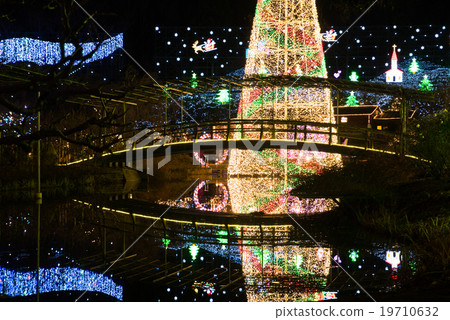 足利花卉公園照明光花園 19710632