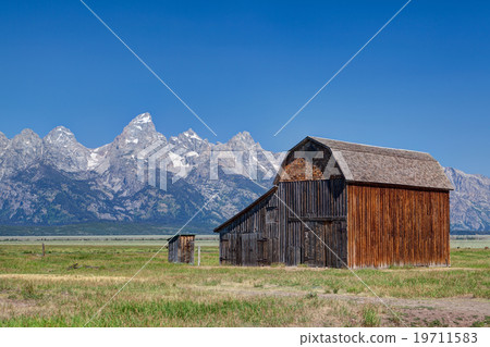 On the iconic John Moulton farm 19711583