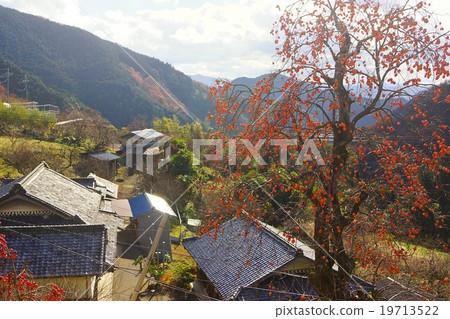 Autumn in Shigo, Katsuragi-cho, Ito-gun, Wakayama Prefecture 19713522