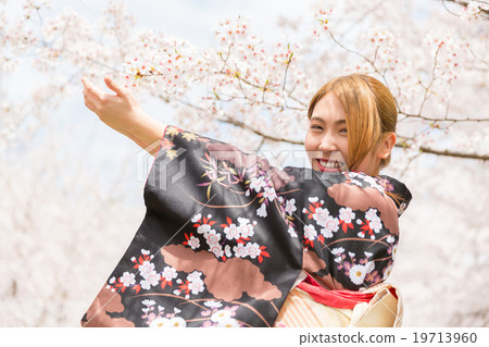 Cherry blossoms with women in kimono 19713960