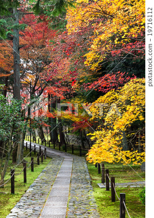 Autumn Kaohsiung 19716112