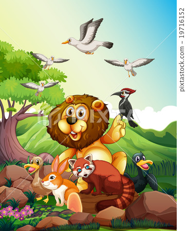 Wild animals living in the forest 19716152