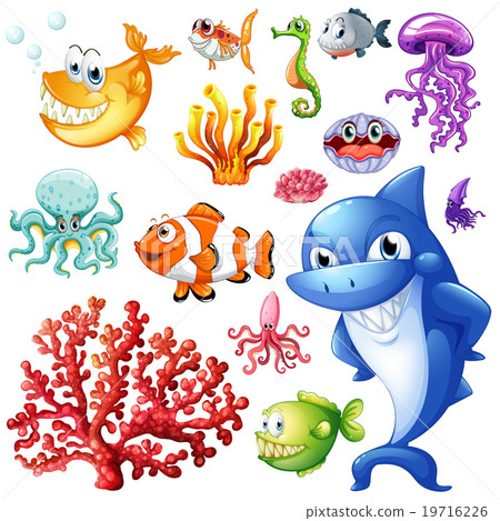 Sea animals and coral reef 19716226