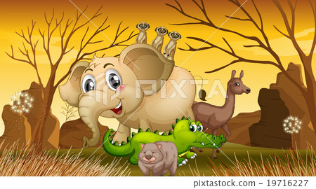 Wild animals standing in the field 19716227