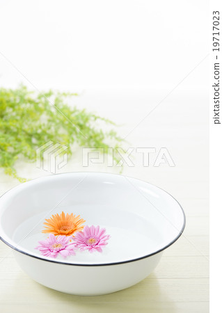 aroma aroma 19717023