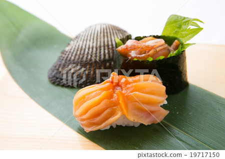 Sushi shop's red shirasagi sushi Sushi shop's red shirasagi sushi 19717150