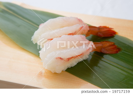 Sushi shop's shrimp shrimps Sushi shop's shrimp shrimps 19717159