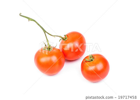 Three tomatoes isolated on white background Three tomatoes isolated on white background 19717458