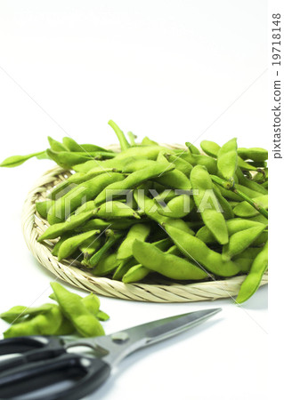 Edible beans of Edible beans Edible beans of Edible beans 19718148