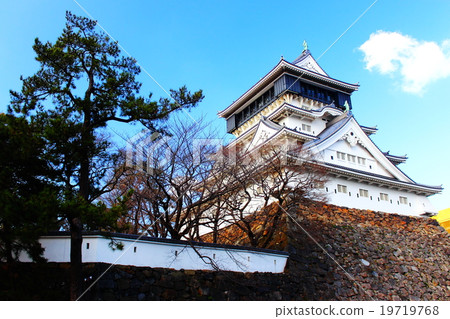 Kokura Castle 19719768