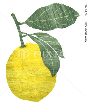 Lemon (with leaves) Lemon (with leaves) 19719786