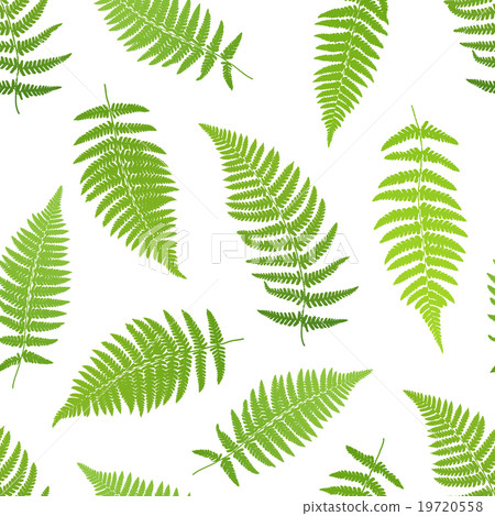 Fern frond silhouettes seamless pattern 19720558