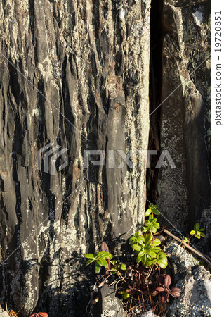 details of rock 19720851