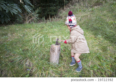 splitting wood, child, kid 19722392