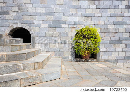tree decor and the stair on brickwall background 19722790