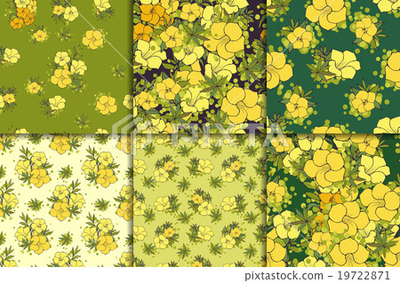 Six seamless floral patterns Six seamless floral patterns 19722871