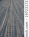 Evening tire trace 19723172