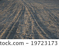 Evening tire trace 19723173