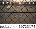 Sunset and fence 19723175