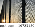 Sunset and fence 19723180