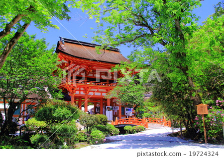 新綠的Kamigamo神社（京都北區） 19724324