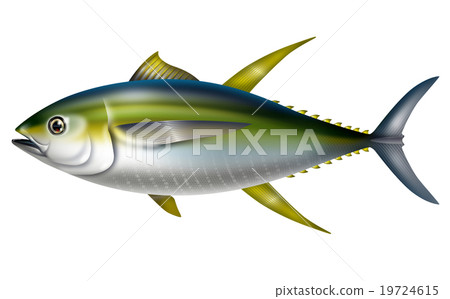 Kihidamagro 19724615