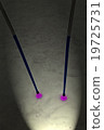 magic light , alpine canes on snow. 19725731