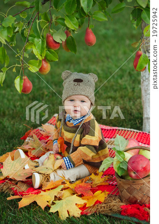 little cute boy with the harvest 19725942
