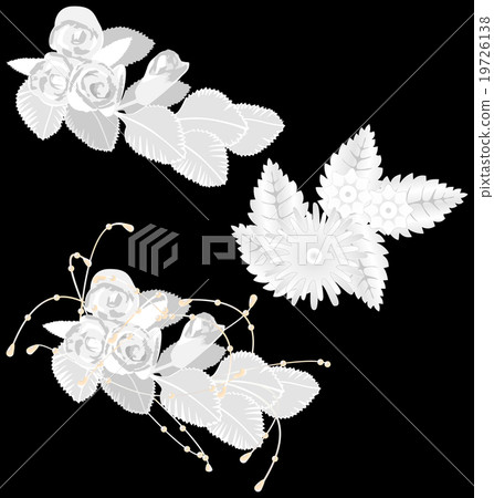 White flowers isolated on black 19726138