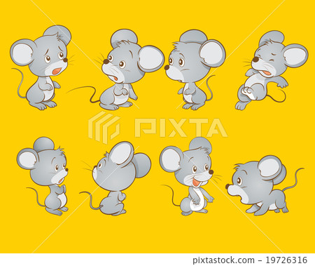 Cute mouse 19726316