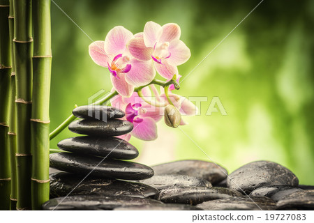 zen basalt stones ,orchid and bamboo 19727083