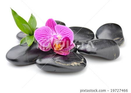 zen basalt stones ,orchid and bamboo 19727466