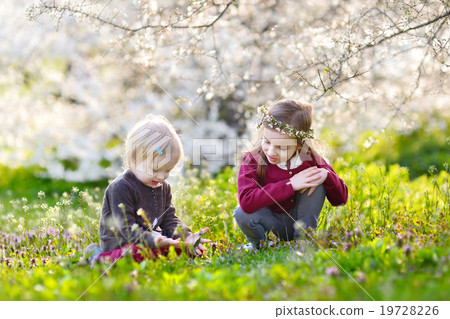 Two cute little sisters in blooming garden 19728226