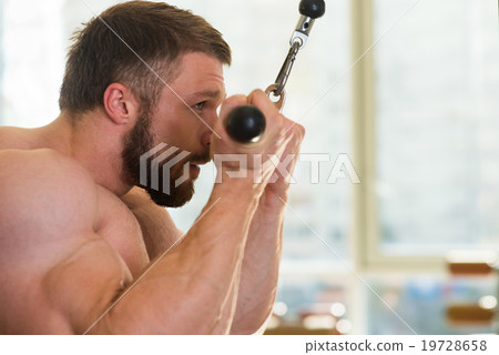Bodybuilder in gym. Bodybuilder in gym. 19728658