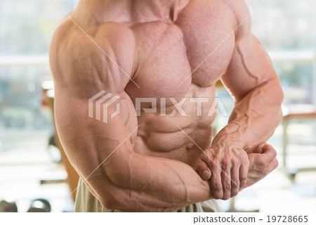 Muscular torso and arms. Muscular torso and arms. 19728665