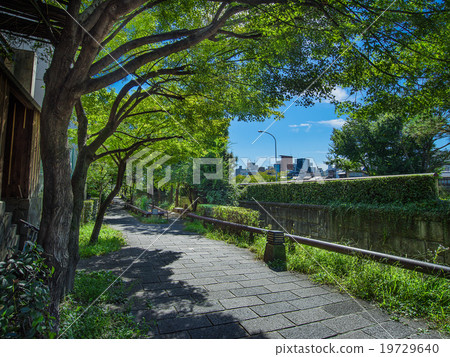 The road of Kyoto Seseragi The road of Kyoto Seseragi 19729640