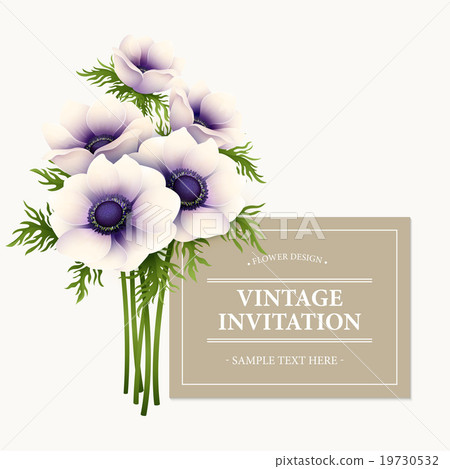 Greeting card with anemone flower. Vector Greeting card with anemone flower. Vector 19730532