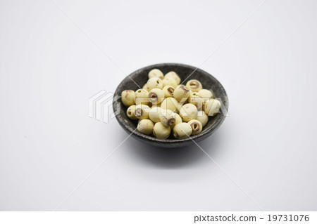 蓮子 蓮子 19731076